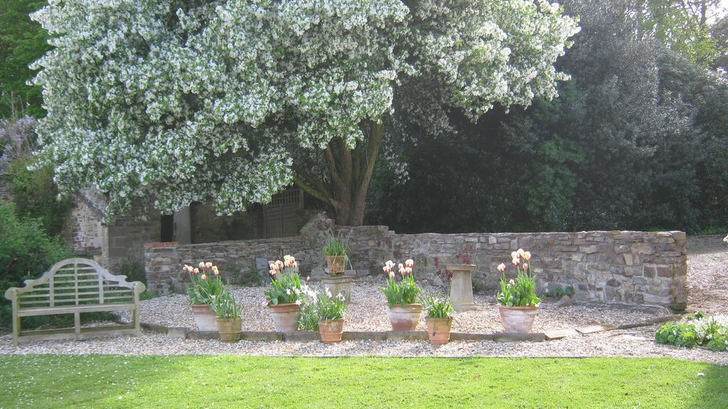 Hollamoor Farm Bed & Breakfast Barnstaple Exterior photo